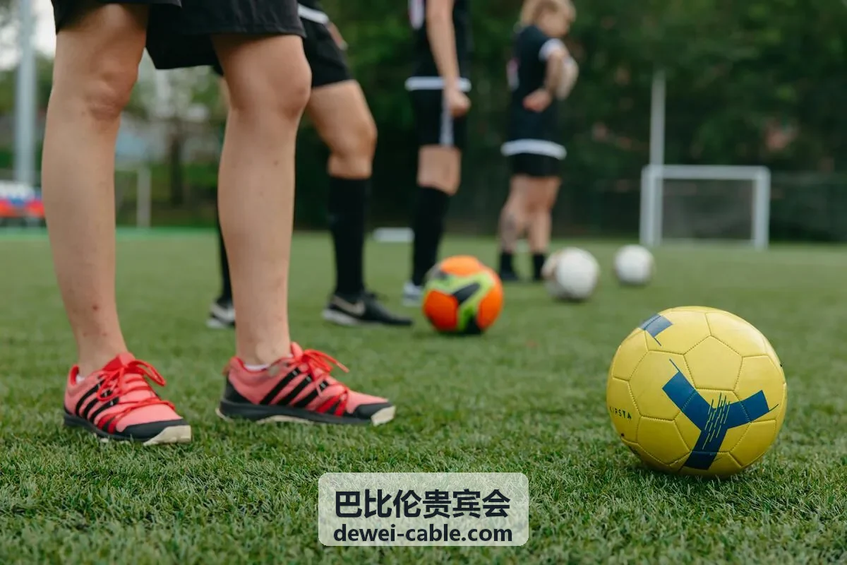 巴比伦贵宾会高端商务情境